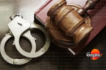 ගව ඝාතකාගාරයක් වටලා සැකකරුවන් 06 දෙනෙකු අත්අඩංගුවට