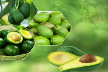 வேண்டாம் என்று ஒதுக்கும் பழத்தில் இத்தனை நன்மைகள் ஒளிந்து இருக்கா?