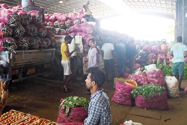 யாழ்ப்பாண மக்களை ஏமாற்றும் வெளிமாவட்ட வியாபரிகள்! | Check Fraud Of Jaffna