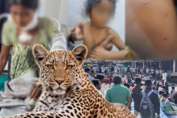 தொடரும் சிறுத்தை தாக்குதல்: ஒருவர் பலி, 4 வயது சிறுமி காயம் - கண்டுகொள்ளுமா அரசு..?