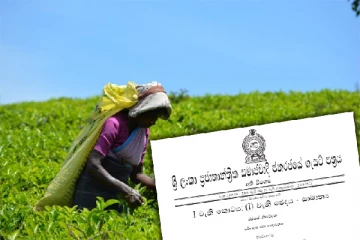 தோட்டத் தொழிலாளர்களின் சம்பளம் அதிகரிப்பு : வெளியானது அதி விசேட வர்த்தமானி