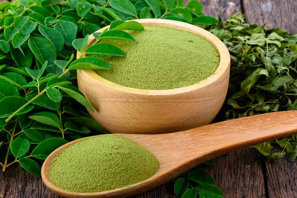 ஒரு ஸ்பூன் முருங்கைப்பொடியில் இத்தனை நன்மைகளா? | So Many Benefits In Spoonful Of Drumstick Powder ஒரு ஸ்பூன் முருங்கைப்பொடியில் இத்தனை நன்மைகளா? | So Many Benefits In Spoonful Of Drumstick Powder