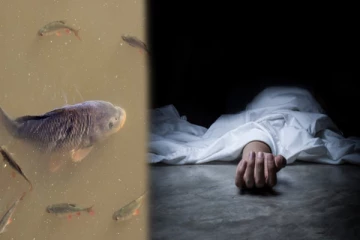 இப்படி கூட நடக்குமா? மீனின் முள் குத்தி பெண் பலியான சோகம் - அதிர்ச்சி சம்பவம்!