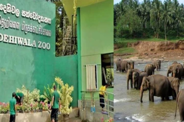 உலக சிறுவர் தினத்தில் மிருகக்காட்சிசாலை செய்த சாதனை!