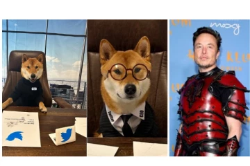 டுவிட்டர் CEO-வாக ‘நாயை’ நியமித்த எலான் மஸ்க்... - ஷாக்கான நெட்டிசன்கள்...!