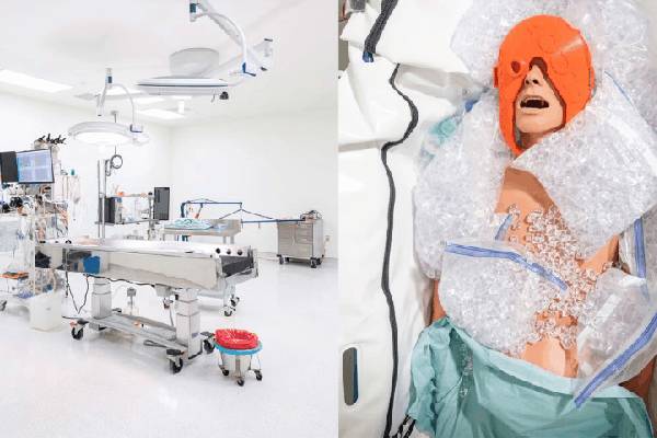 cryopreservation