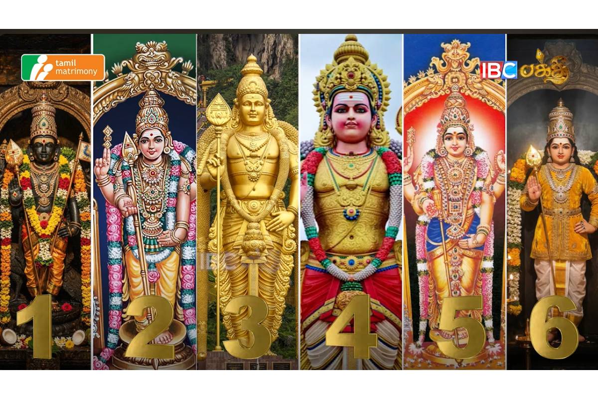 வைகாசி விசாகம்: முருகப்பெருமான் நமக்கு சொல்லும் முக்கியமான செய்தி என்ன? | 2026 Vaikasi Tarot Card Message From God Murugan