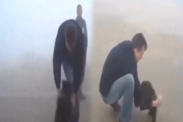 Viral Video: தன்னை காப்பாற்றியவரை பிரிய முடியாமல் கட்டிப்பிடித்த கரடிக்குட்டி