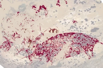 1 பன்றி, 3 மனிதர்கள்: 51,200 ஆண்டுகள் பழமையான குகை ஓவியங்கள்