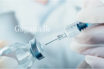 ඉන්දියාවෙන් ඩෙංගු වලට නව එන්නතක් හදුන්වා දෙයි..