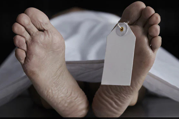 முச்சக்கரவண்டி விபத்துக்குள்ளானதில் பெண் பலி | Woman Dies In Tricycle Accident