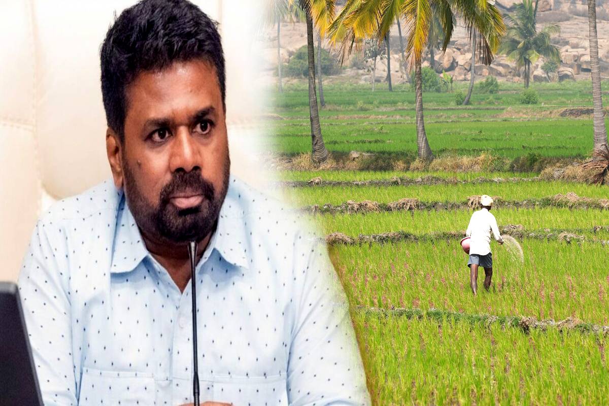 கடனில் சிக்கியுள்ள விவசாயிகளுக்கு அரசாங்கம் விசேட திட்டம் | Abank Will Soon Be Established For Debt Farmers