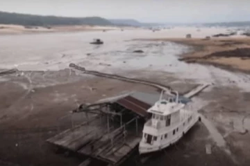 திடீரென உயிரிழந்த நூற்றுக்கணக்கான டால்பின்கள்! வெளியான அதிர்ச்சி தகவல்