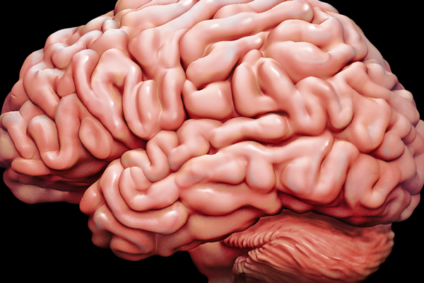 அடிக்கடி தலைவலி ஏற்படுகிறதா ? காரணம் இது தான்! | This Is The Reason For Frequent Headaches