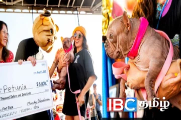 மகுடம் சூட்டப்பட்ட உலகின் அழகற்ற நாய்: குவிந்த பணபரிசு