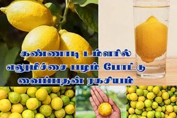 எலுமிச்சையின் ஆன்மீக மகத்துவங்கள்