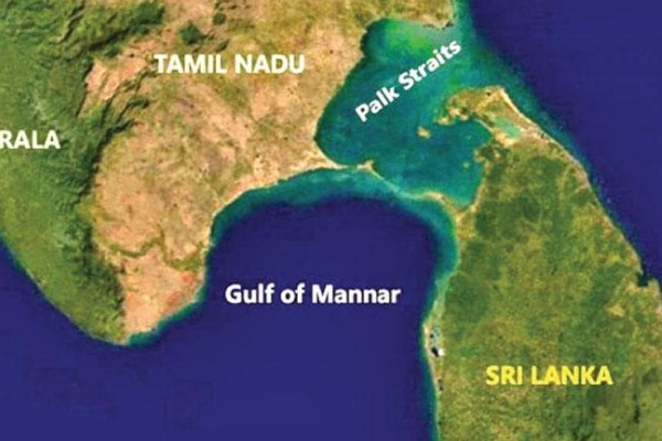 இலங்கைக்கும் இந்தியாவிற்கும் பாலம் அமைக்க தீர்மானம் - வாக்கெடுப்பை வலியுறுத்தும் மல்கம் ரஞ்சித் | Referendum To Build Bridge Between Sri Lanka India