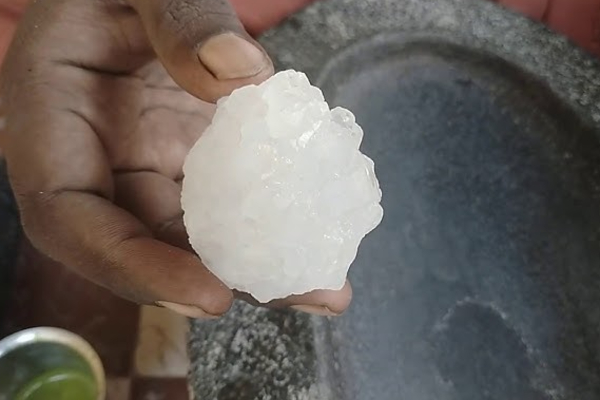 உடல் எடையை குறைக்க யூடியூப் பார்த்து மருந்து சாப்பிட மாணவி உயிரிழப்பு | Madurai Girl Dies After Eating Vengaram Youtube