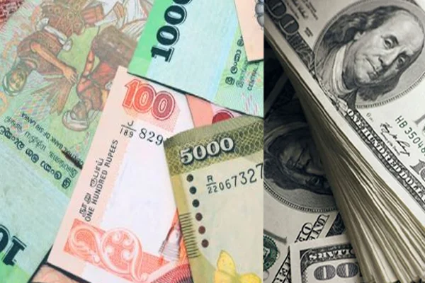 டொலரின் பெறுமதியில் வீழ்ச்சி | Srilankan Rupee And Dollar Value Change Update