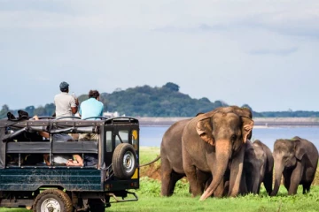 ශ්‍රී ලංකාවට තවත් අර්බුදයකට මුහුණ දෙන්න වෙන ලකුණු... විස්තර මෙන්න..