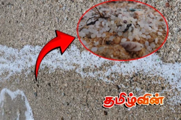 யாழ். கடற்கரைகளில் ஒதுங்கும் பொருள்.. மக்களுக்கு விடுக்கப்பட்டுள்ள எச்சரிக்கை!