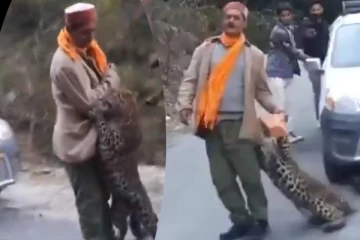 Viral Video: நபரை சுற்றி வளைத்த சிறுத்தை.... சுற்றி நின்று கதறிய மனிதர்கள்