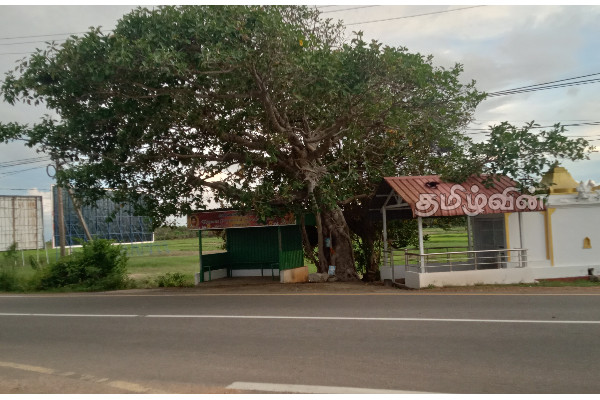 யாழ்.செம்மணிச் சந்தியில் இப்படியொரு செயற்பாடா.. மகிழ்ச்சியில் மக்கள்(Photos) | Yaazh Semmani Santhi