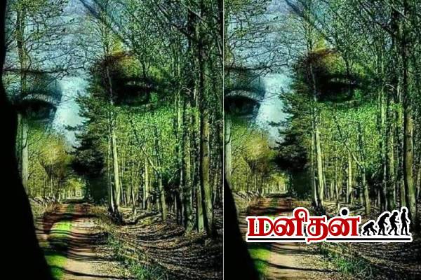 இலக்குடன் இருப்பவர்களை கண்டுபிடிக்க ஒரு Test-படத்தில் தெரிவது என்ன? | Optical Illusion Reveals Your Professional