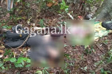 යුද හමුදා සෙබලෙකුගේ සහ ගුරුවරියකගේ මළ සිරුරු කැලයකින් මතුවෙයි.