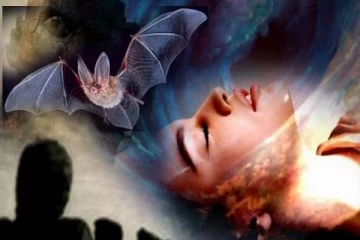 கனவில் வௌவாலை கண்டால் ஆபத்தா? கட்டாயம் தெரிஞ்சிக்கோங்க