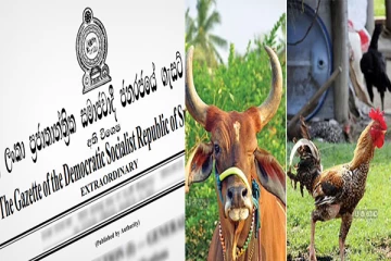 கால்நடை தீவன உற்பத்திக்காக அரிசி அல்லது நெல் விற்பனை, பயன்படுத்த தடை: அதிவிசேட வர்த்தமானி வெளியீடு