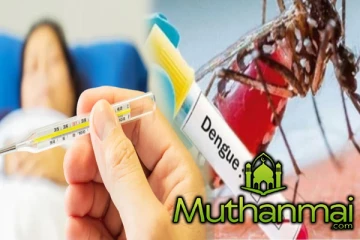 நாட்டில் அதிகரித்து வரும் டெங்கு : பாதிக்கப்பட்டவர்களின் நிலவரம்!