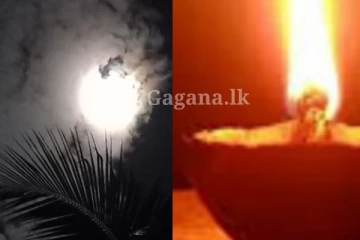 හඳ පානෙම වැඩේට බැස්ස නිධන් හොරු - උන්හිටි තැනුත් අමතක වෙලා වුණ වින්නැහිය..