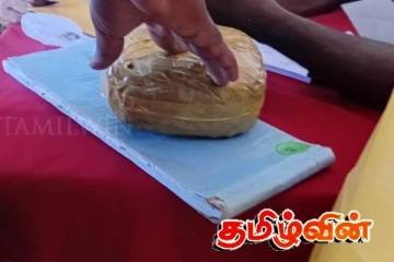 யாழ்ப்பாணத்தில் கேரள கஞ்சாவுடன் ஒருவர் கைது