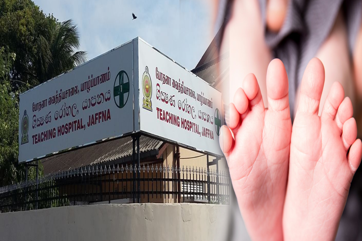 யாழில் பிறந்து 4 மாதங்களேயான ஆண் குழந்தை திடீர் மரணம் | Four Month Old Male Infant Born In Jaffna Dies யாழில் பிறந்து 4 மாதங்களேயான ஆண் குழந்தை திடீர் மரணம் | Four Month Old Male Infant Born In Jaffna Dies