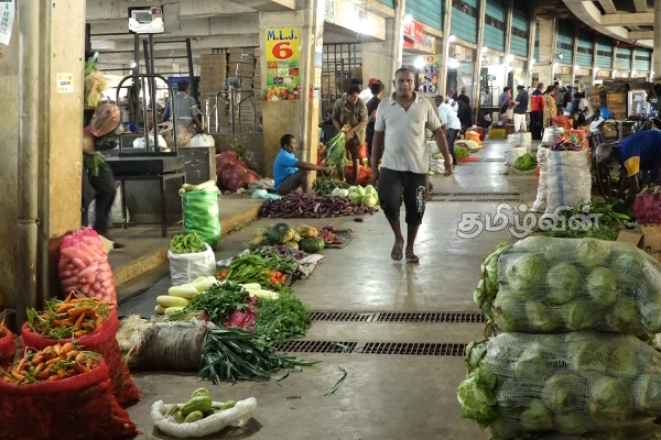 மக்கள் பூசணிக்காய், வெள்ளரிக்காய் மட்டும் தான் சாப்பிட முடியும்! எதிர்காலத்தில் அதுவும் கிடைக்காது என எச்சரிக்கை | Today Vegetables Price In Sri Lanka