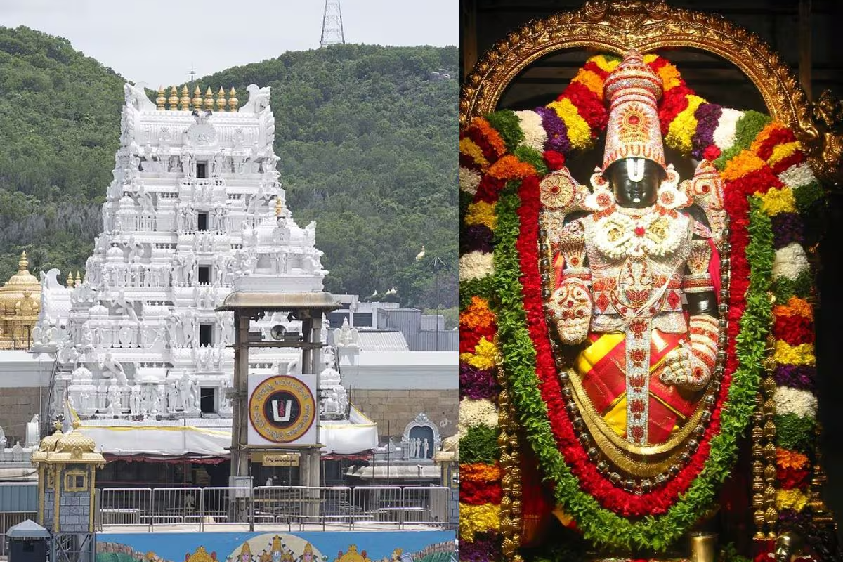திருப்பதி செல்லும் பக்தர்களுக்கு அதிர்ச்சி செய்தி.. முக்கிய தரிசனம் ரத்து காரணம் இதோ | Tirupathi Ttd Update On Vip Darshan Cancel On June