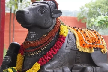 சிவ ஆலயத்தின் ஐவகை நந்திகள் பற்றி தெரியுமா?