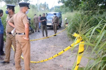 கறிவேப்பிலை பறிக்கச் சென்ற தாய்க்கு நொடிப்பொழுதில் நடந்த துயரம்