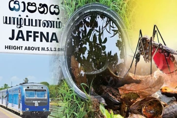 யாழ்.மாவட்டத்தில் டெங்கு ஒழிப்பு நடவடிக்கைகளை மேற்கொள்ள தீர்மானம்