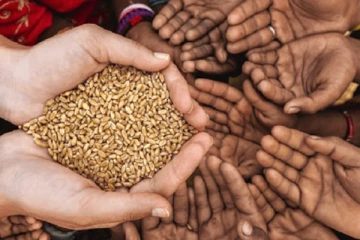 நாட்டில் உணவுத் தட்டுப்பாடு ஏற்படும்: பேராசிரியர் எச்சரிக்கை