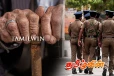 குளவிக்கொட்டுக்கு இலக்காகி வயோதிபர் ஒருவர் உயிரிழப்பு