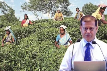 தோட்டத்தொழிலாளர்களின் சம்பள பிரச்சினை! மீறப்படும் ரணிலின் வாக்குறுதி