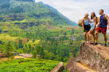 இலங்கைக்கு பெருமளவு அந்நிய செலவணியை ஈட்டும் துறைக்கு ஆபத்து