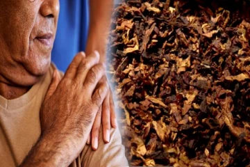 புகையிலை பாவனையால் புற்றுநோய் வருமா? மருத்துவம் சொல்லும் தகவல்