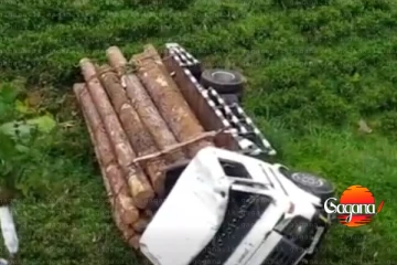 බිහිසුණු අනතුරක් - ලොරියක් ප්‍රපාතයකට පෙරලෙයි