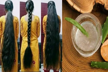 கற்றாழை ஜெல்லுடன் இந்த பொருளை கலந்து பூசுங்க - முடி காடு போல வளரும்