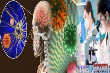 உண்ணி மூலம் மனிதர்களுக்கு பரவும் வைரஸ்