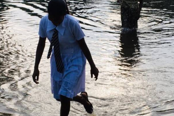 சாவகச்சேரியில் தனியார் சிலரால் ஏற்பட்டுள்ள அவலநிலை! | Distress Caused Private Individuals Chavakachcheri