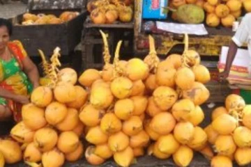 අප්‍රේල් 1 වනදා සිට 12 වන දා දක්වා ජනතාවට හිමිවන නව අවසරය..